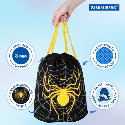 Мешок для обуви BRAUBERG PREMIUM, карман, подкладка, светоотражайка, 43х33 см, "Venomous spider", 271624