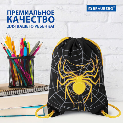 Мешок для обуви BRAUBERG PREMIUM, карман, подкладка, светоотражайка, 43х33 см, "Venomous spider", 271624