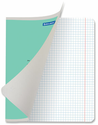 Тетрадь 12 л. BRAUBERG КЛАССИКА NEW крупная клетка, обложка картон, ЗЕЛЕНАЯ, 105689