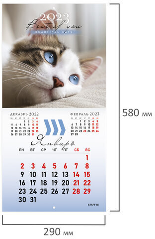 Календарь настенный перекидной 2023 г., 12 листов, 29х29 см, "КОШКИ", STAFF, 114276