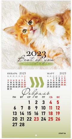 Календарь настенный перекидной 2023 г., 12 листов, 29х29 см, "КОШКИ", STAFF, 114276