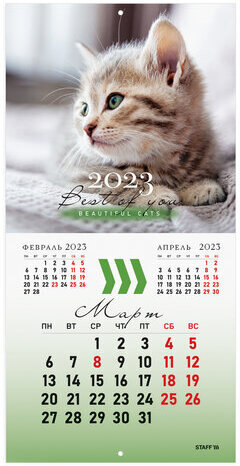 Календарь настенный перекидной 2023 г., 12 листов, 29х29 см, "КОШКИ", STAFF, 114276