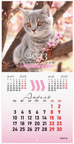 Календарь настенный перекидной 2023 г., 12 листов, 29х29 см, "КОШКИ", STAFF, 114276