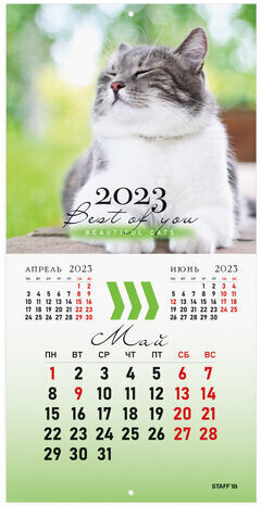 Календарь настенный перекидной 2023 г., 12 листов, 29х29 см, "КОШКИ", STAFF, 114276