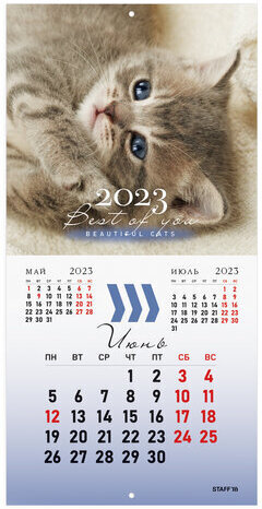 Календарь настенный перекидной 2023 г., 12 листов, 29х29 см, "КОШКИ", STAFF, 114276