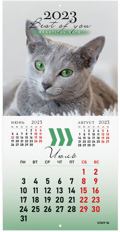 Календарь настенный перекидной 2023 г., 12 листов, 29х29 см, "КОШКИ", STAFF, 114276