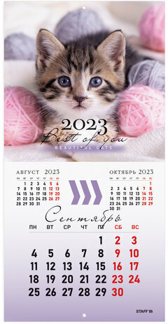 Календарь настенный перекидной 2023 г., 12 листов, 29х29 см, "КОШКИ", STAFF, 114276