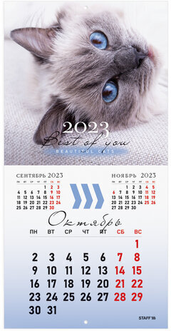 Календарь настенный перекидной 2023 г., 12 листов, 29х29 см, "КОШКИ", STAFF, 114276
