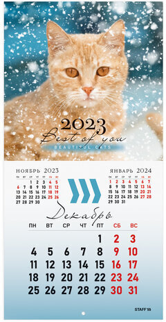 Календарь настенный перекидной 2023 г., 12 листов, 29х29 см, "КОШКИ", STAFF, 114276