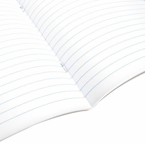 Тетрадь предметная "SPORT CLUB" 48 л., обложка картон, РУССКИЙ ЯЗЫК, линия, подсказ, BRAUBERG, 404803