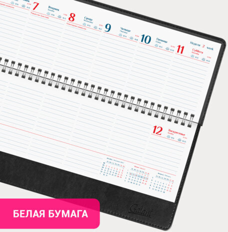 Планинг датированный 2025 305x140 мм GALANT "Ritter", под кожу, черный, 115707