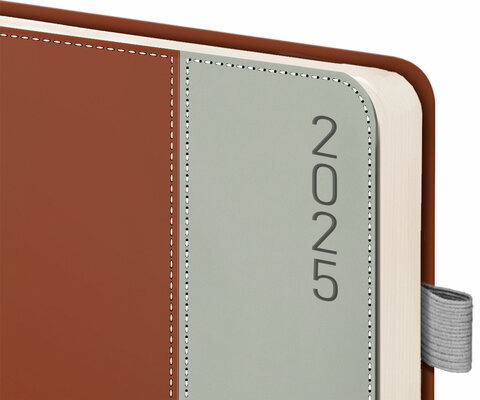 Ежедневник датированный 2025, А5, 138х213 мм, BRAUBERG "Esthetic", под кожу, держатель для ручки, застежка, коричневый/серый, 115928