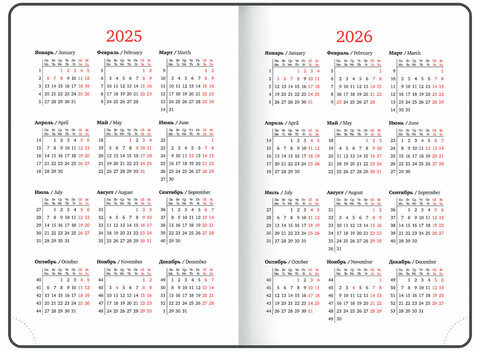 Ежедневник датированный 2025, А5, 138х213 мм, BRAUBERG "Esthetic", под кожу, держатель для ручки, застежка, коричневый/серый, 115928
