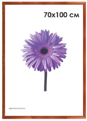 Рамка премиум 70х100 см, дерево, багет 26 мм, &quot;Linda&quot;, орех, 0065-70-0006