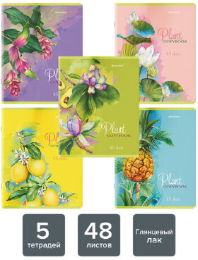 Тетради КОМПЛЕКТ 5 шт., А5, 48 л., BRAUBERG скоба, клетка, глянцевый лак, &quot;Яркие Растения&quot;, 404393