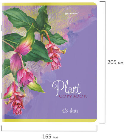 Тетради КОМПЛЕКТ 5 шт., А5, 48 л., BRAUBERG скоба, клетка, глянцевый лак, "Яркие Растения", 404393