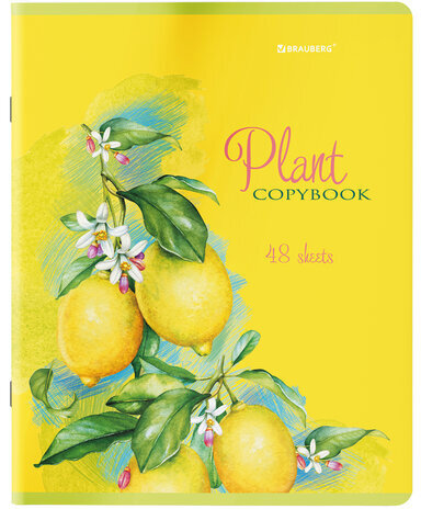 Тетради КОМПЛЕКТ 5 шт., А5, 48 л., BRAUBERG скоба, клетка, глянцевый лак, "Яркие Растения", 404393
