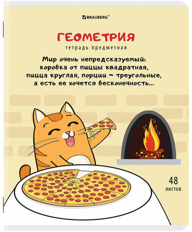 Тетрадь предметная "КОТ-ЭНТУЗИАСТ" 48 л., TWIN-лак, ГЕОМЕТРИЯ, клетка, подсказ, BRAUBERG, 404561