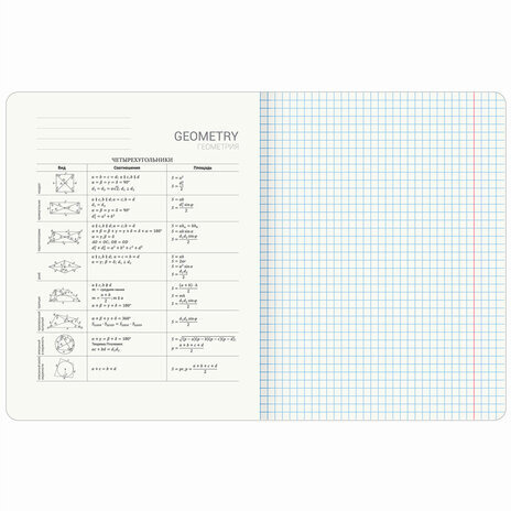 Тетрадь предметная "КОТ-ЭНТУЗИАСТ" 48 л., TWIN-лак, ГЕОМЕТРИЯ, клетка, подсказ, BRAUBERG, 404561