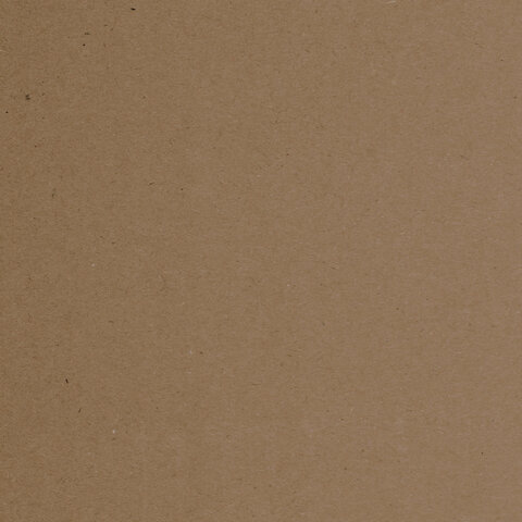 Крафт-бумага для графики, эскизов А4(210х297мм), 120г/м2, 100л, BRAUBERG ART CLASSIC,112486