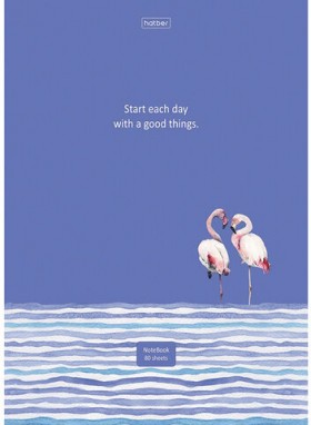 Блокнот БОЛЬШОЙ ФОРМАТ А4 (210х290 мм) 80 л., твердый, клетка, HATBER, Фламинго, 80ББ4В1_22175