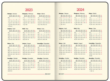 Еженедельник датированный 2023 А5 145х215 мм BRAUBERG "Iguana", синий, 113949