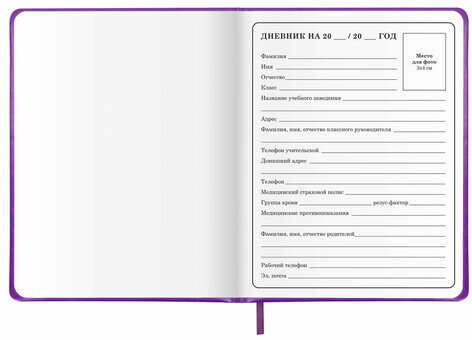 Дневник 1-4 класс 48 л., кожзам (твердая с поролоном), печать, аппликация, ЮНЛАНДИЯ, "Собачка", 106937