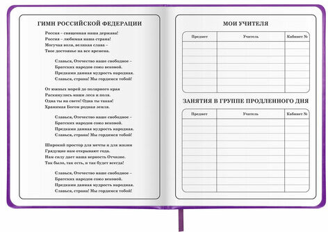 Дневник 1-4 класс 48 л., кожзам (твердая с поролоном), печать, аппликация, ЮНЛАНДИЯ, "Собачка", 106937
