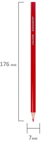 Карандаши цветные BRAUBERG PREMIUM, 12 цветов, трехгранные, грифель мягкий 3 мм, 181661