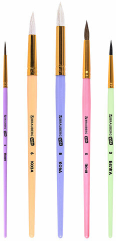 Кисти НАБОР 5 шт. (БЕЛКА круглая № 3; КОЗА круглые № 6, 8; ПОНИ круглые № 2, 5), BRAUBERG KIDS, 201080