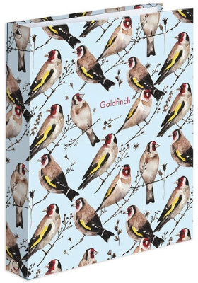 Тетрадь на кольцах А5 165х215 мм, 120 л., твердый картон, клетка, BRAUBERG, &quot;Щеглы&quot;, 404079