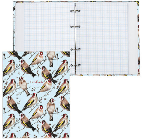 Тетрадь на кольцах А5 165х215 мм, 120 л., твердый картон, клетка, BRAUBERG, "Щеглы", 404079