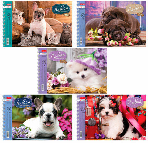 Альбом для рисования, А4, 40 листов, спираль, обложка картон, HATBER, 205х300 мм, "Любимцы", 40А4Всп, A28209