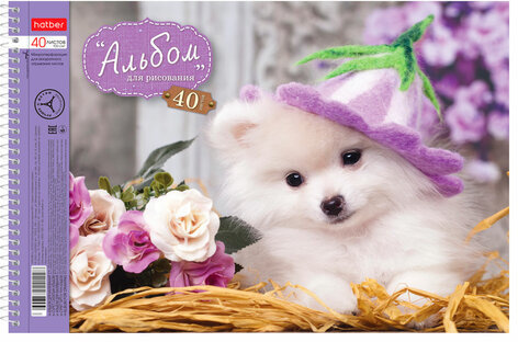Альбом для рисования, А4, 40 листов, спираль, обложка картон, HATBER, 205х300 мм, "Любимцы", 40А4Всп, A28209