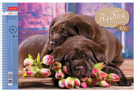 Альбом для рисования, А4, 40 листов, спираль, обложка картон, HATBER, 205х300 мм, "Любимцы", 40А4Всп, A28209