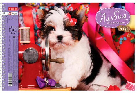 Альбом для рисования, А4, 40 листов, спираль, обложка картон, HATBER, 205х300 мм, "Любимцы", 40А4Всп, A28209