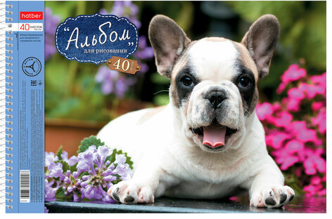 Альбом для рисования, А4, 40 листов, спираль, обложка картон, HATBER, 205х300 мм, "Любимцы", 40А4Всп, A28209