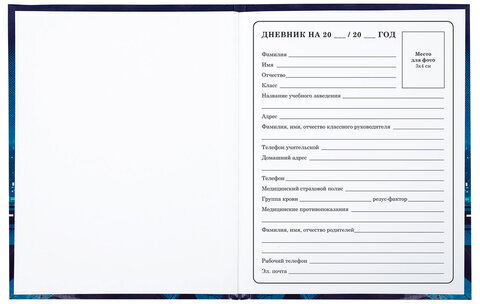 Дневник 1-4 класс 48 л., твердый, ЮНЛАНДИЯ, глянцевая ламинация, с подсказом, "Ниндзя", 106823
