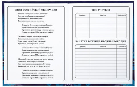 Дневник 1-4 класс 48 л., твердый, ЮНЛАНДИЯ, глянцевая ламинация, с подсказом, "Ниндзя", 106823