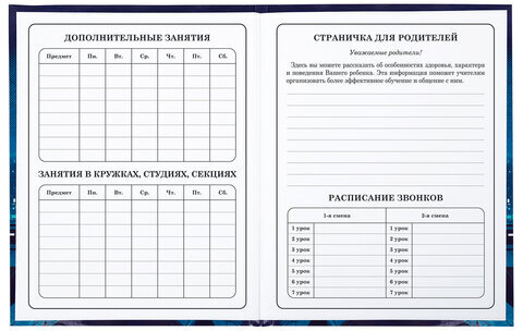 Дневник 1-4 класс 48 л., твердый, ЮНЛАНДИЯ, глянцевая ламинация, с подсказом, "Ниндзя", 106823