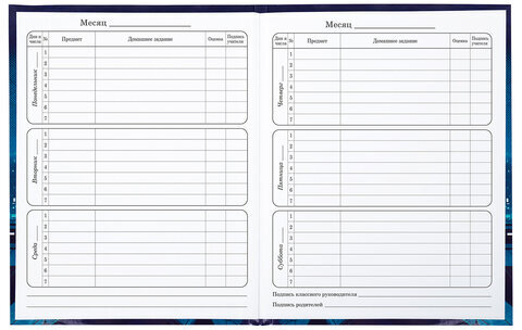 Дневник 1-4 класс 48 л., твердый, ЮНЛАНДИЯ, глянцевая ламинация, с подсказом, "Ниндзя", 106823