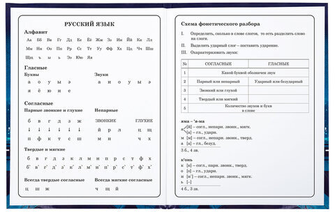 Дневник 1-4 класс 48 л., твердый, ЮНЛАНДИЯ, глянцевая ламинация, с подсказом, "Ниндзя", 106823