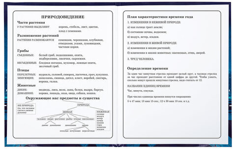 Дневник 1-4 класс 48 л., твердый, ЮНЛАНДИЯ, глянцевая ламинация, с подсказом, "Ниндзя", 106823