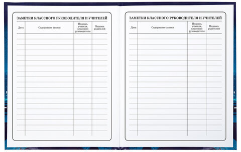 Дневник 1-4 класс 48 л., твердый, ЮНЛАНДИЯ, глянцевая ламинация, с подсказом, "Ниндзя", 106823