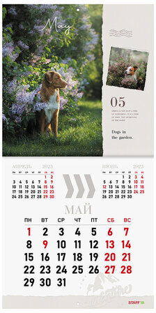 Календарь настенный перекидной 2023 г., 12 листов, 29х29 см, "DOGS", STAFF, 114278