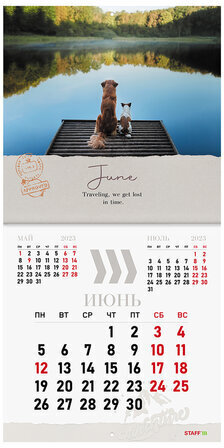 Календарь настенный перекидной 2023 г., 12 листов, 29х29 см, "DOGS", STAFF, 114278