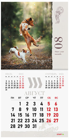 Календарь настенный перекидной 2023 г., 12 листов, 29х29 см, "DOGS", STAFF, 114278