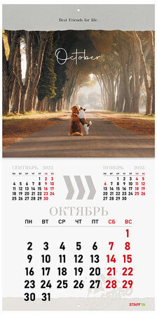 Календарь настенный перекидной 2023 г., 12 листов, 29х29 см, "DOGS", STAFF, 114278