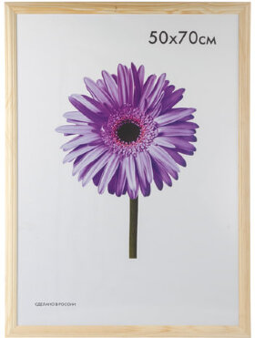 Рамка премиум 50х70 см, дерево, багет 26 мм, &quot;Linda&quot;, светлое дерево, 0065-50-0000