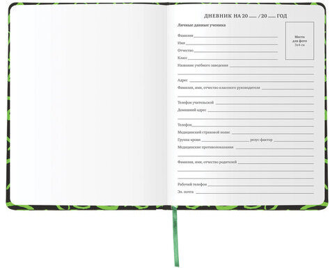 Дневник 1-11 класс 48 л., кожзам (твердая с поролоном), флуоресцентный, BRAUBERG, "ШРИФТ", 105983